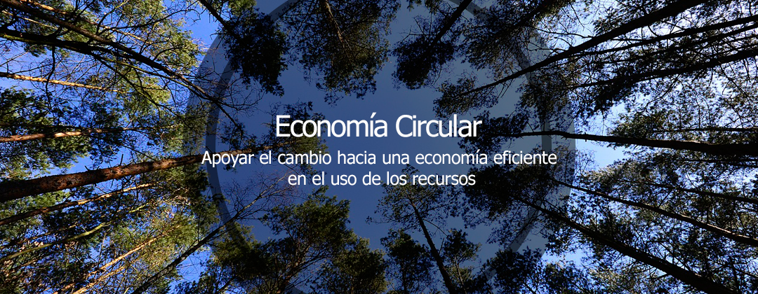 Economía circular: Apoyar el cambio hacia una economía eficiente en el uso de los recursos.