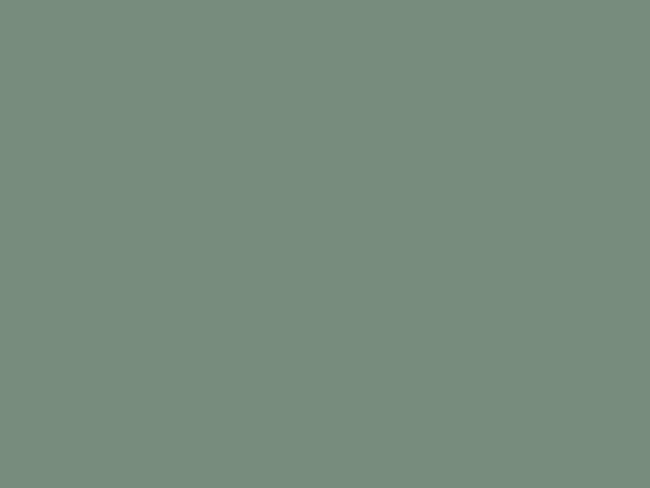 Color Ivy Green. Muestra tela sábanas y fundas lisas. Color Ivy Green. Muestra tela sábanas y fundas lisas.